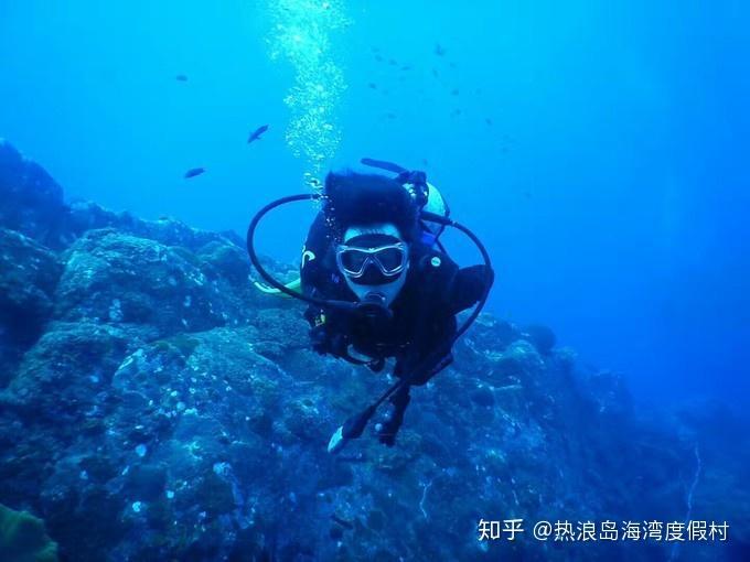 茜杰和莉斯大改造